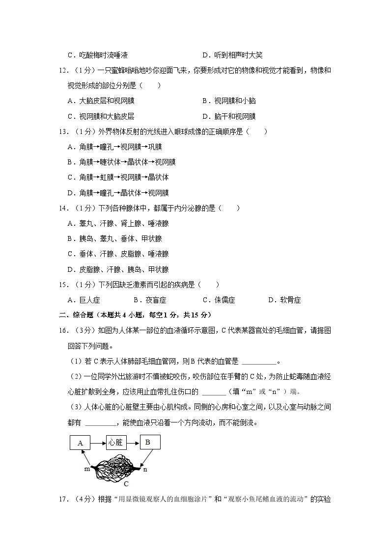 江苏省连云港市赣榆外国语学校2022-2023学年八年级上学期第一次质检生物试卷03