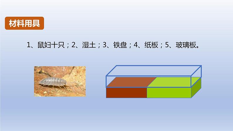 中考生物二轮复习实验突破课件:非生物因素对某种动物的影响(含答案)第4页
