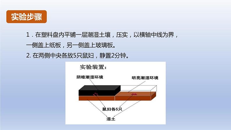 中考生物二轮复习实验突破课件:非生物因素对某种动物的影响(含答案)第5页