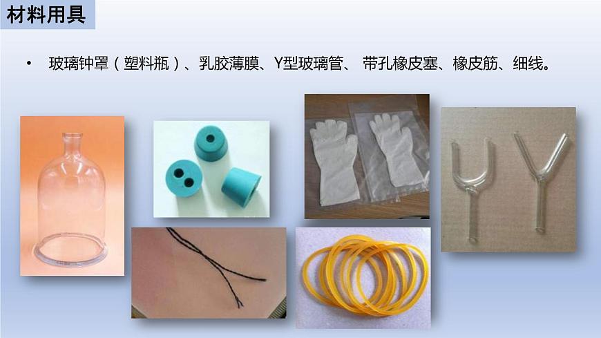 中考生物二輪復(fù)習(xí)實驗突破課件:膈肌運(yùn)動的模擬實驗(含答案)第4頁