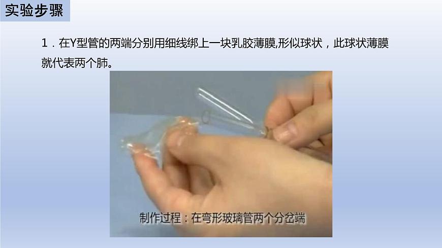中考生物二輪復(fù)習(xí)實驗突破課件:膈肌運(yùn)動的模擬實驗(含答案)第5頁