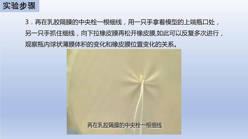中考生物二輪復(fù)習(xí)實驗突破課件:膈肌運(yùn)動的模擬實驗(含答案)第7頁