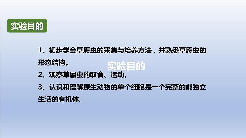 中考生物二轮复习实验突破课件:观察草履虫(含答案)第2页