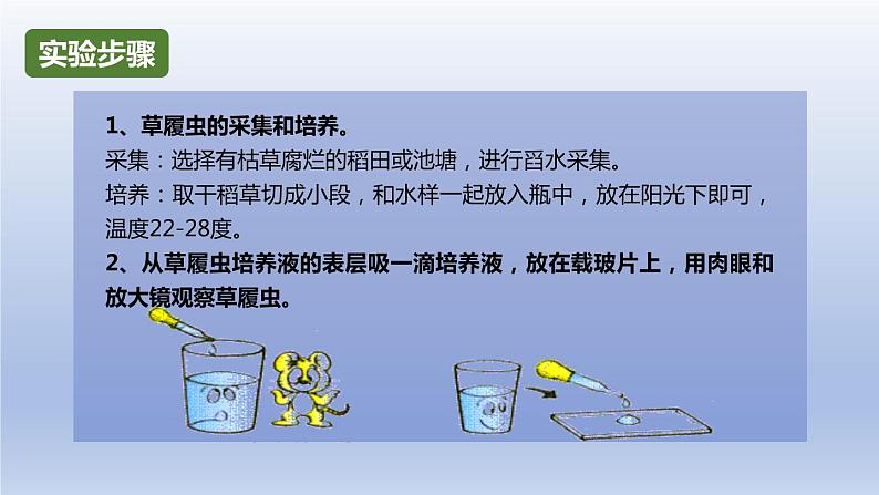 中考生物二轮复习实验突破课件:观察草履虫(含答案)第5页