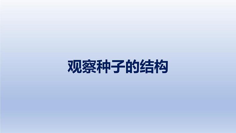 中考生物二轮复习实验突破课件:观察种子的结构(含答案)第1页