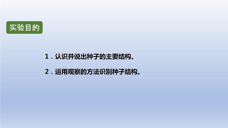 中考生物二轮复习实验突破课件:观察种子的结构(含答案)第2页