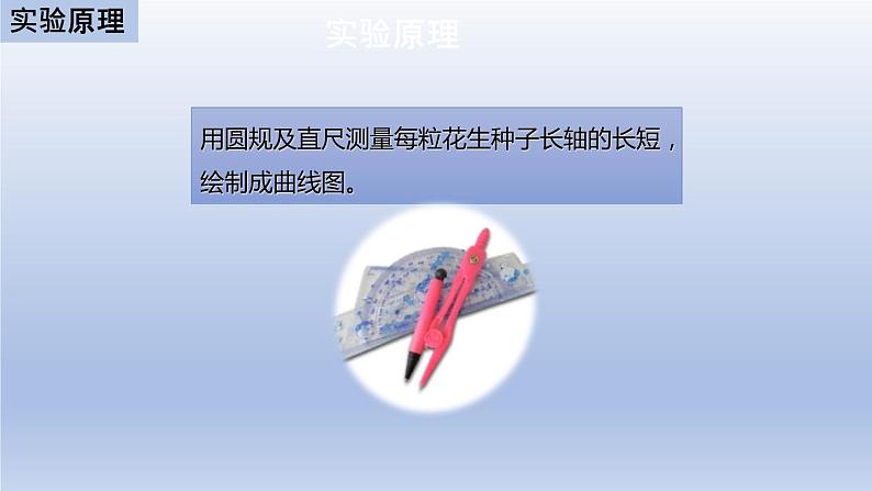 中考生物二轮复习实验突破课件:花生果实大小的变异探究实验(含答案)03