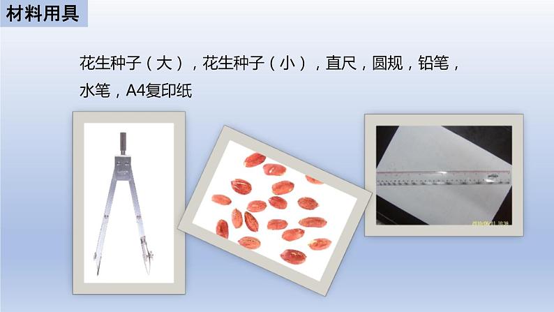 中考生物二轮复习实验突破课件:花生果实大小的变异探究实验(含答案)04