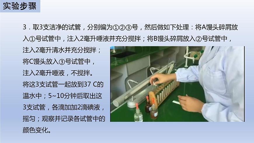 中考生物二輪復(fù)習(xí)實驗突破課件:饅頭在口腔中的變化(含答案)第7頁