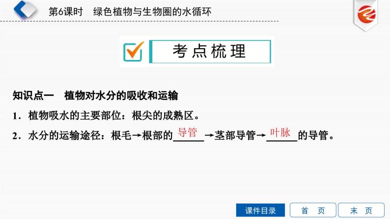 中考生物一轮复习培优课件第6单元　绿色植物与生物圈的水循环 (含答案)02