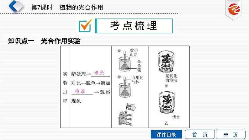 中考生物一轮复习培优课件第7单元 植物的光合作用 (含答案)第2页