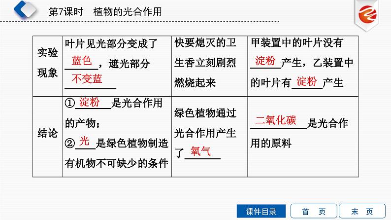 中考生物一轮复习培优课件第7单元 植物的光合作用 (含答案)第3页