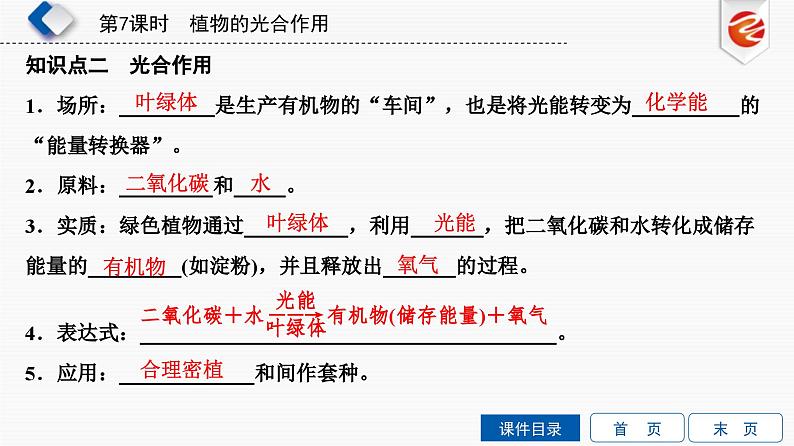 中考生物一轮复习培优课件第7单元 植物的光合作用 (含答案)第4页