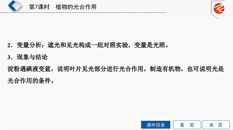 中考生物一轮复习培优课件第7单元 植物的光合作用 (含答案)第6页