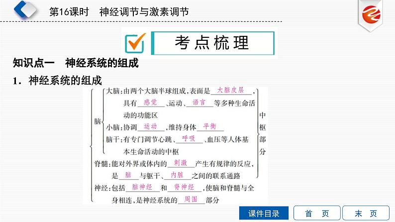 中考生物一轮复习培优课件第16单元 神经调节与激素调节 (含答案)02