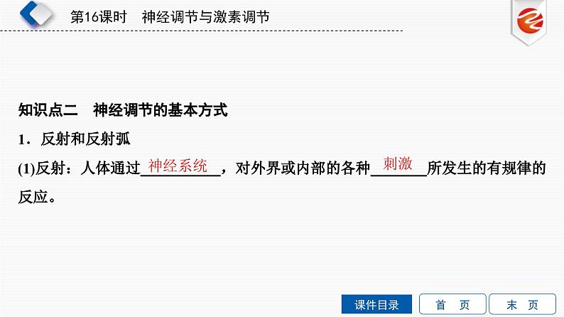 中考生物一轮复习培优课件第16单元 神经调节与激素调节 (含答案)04
