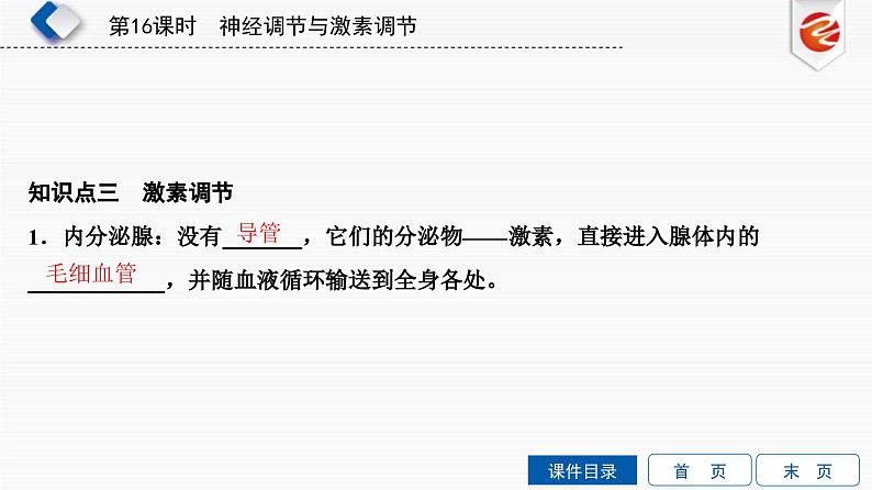 中考生物一轮复习培优课件第16单元 神经调节与激素调节 (含答案)07