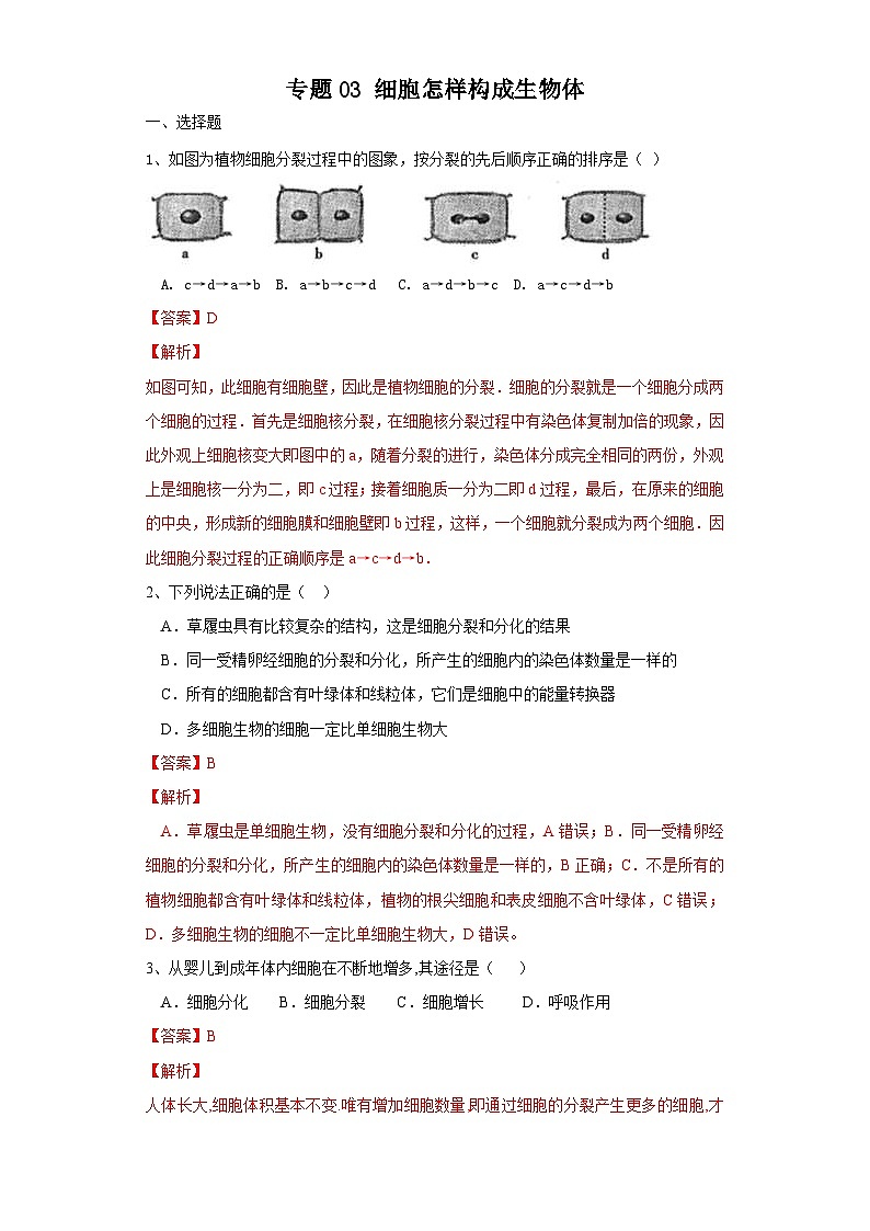 中考生物一轮复习过关测试专题03 细胞怎样构成生物体(含解析)第1页