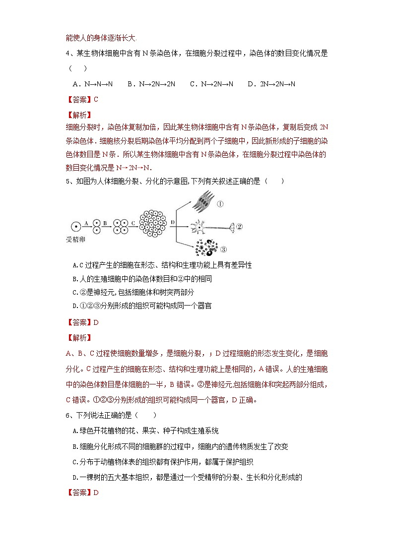 中考生物一轮复习过关测试专题03 细胞怎样构成生物体(含解析)第2页