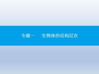 中考生物一轮复习精品课件专题一生物体的结构层次(含答案)