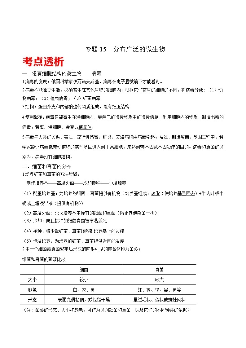 中考生物三轮冲刺核心考点练习专题15 分布广泛的微生物(含解析)01