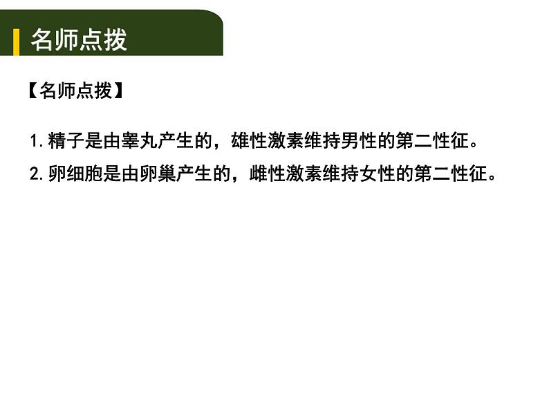 中考生物一轮复习课件7.1人的生殖和发育与青春期(含答案)04