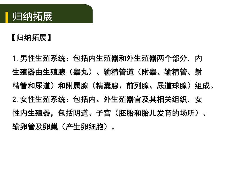 中考生物一轮复习课件7.1人的生殖和发育与青春期(含答案)05
