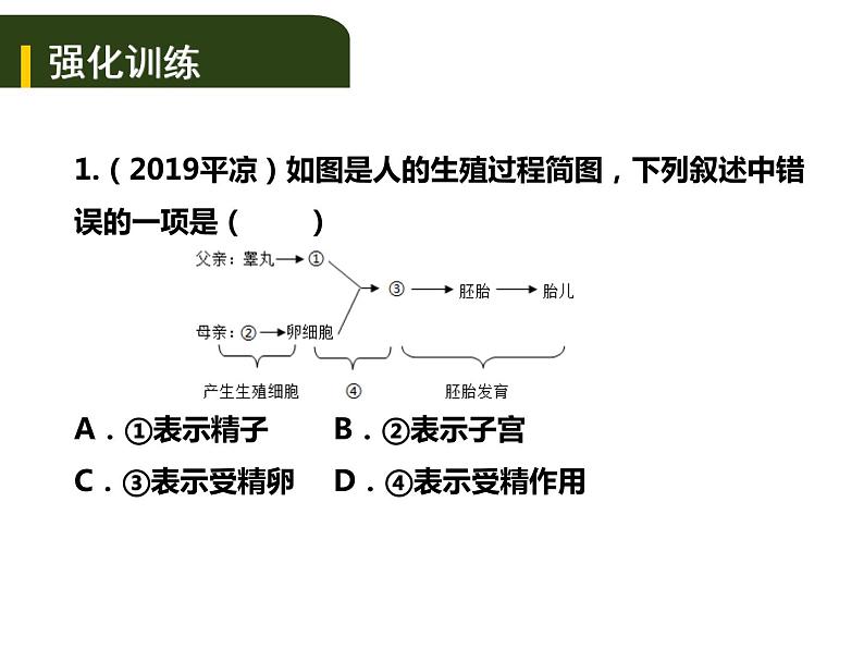 中考生物一轮复习课件7.1人的生殖和发育与青春期(含答案)06