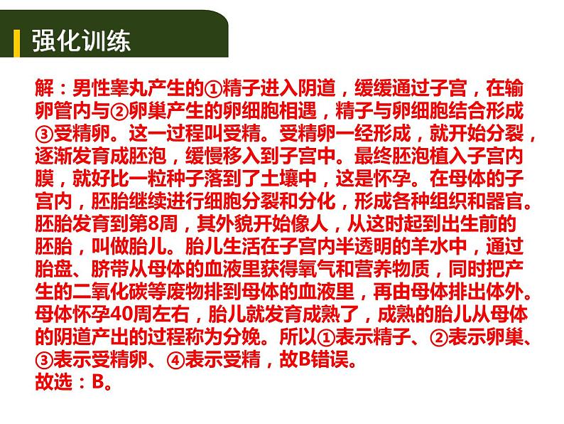 中考生物一轮复习课件7.1人的生殖和发育与青春期(含答案)07
