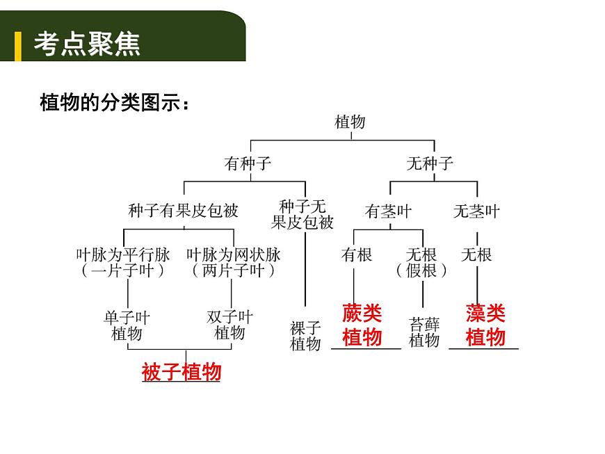 中考生物一輪復習課件8.1根據(jù)生物的特征進行分類(含答案)第2頁