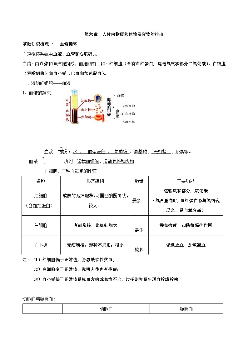 中考生物一轮复习核心考点梳理专题六 人体内物质的运输及废物的排出第1页