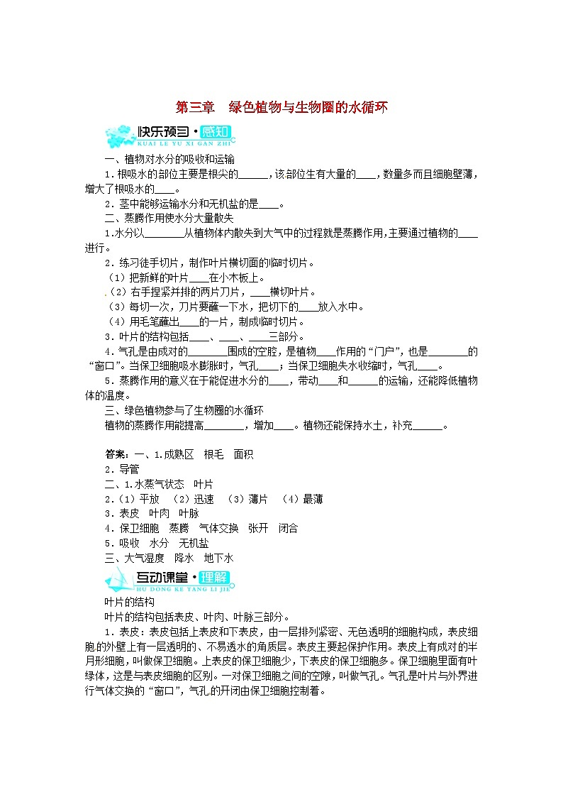 (新版)新人教版七年级上册:3.3《绿色植物与生物圈的水循环》练习及答案01