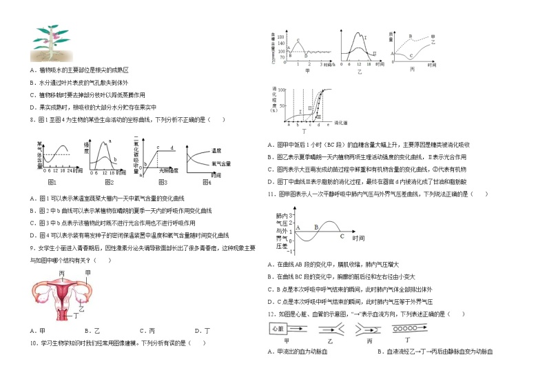 中考生物模拟试卷六 (原卷版+解析版)02