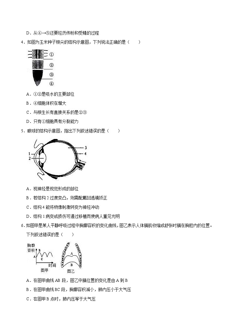 中考生物模拟试卷五 (原卷版+解析版)第2页