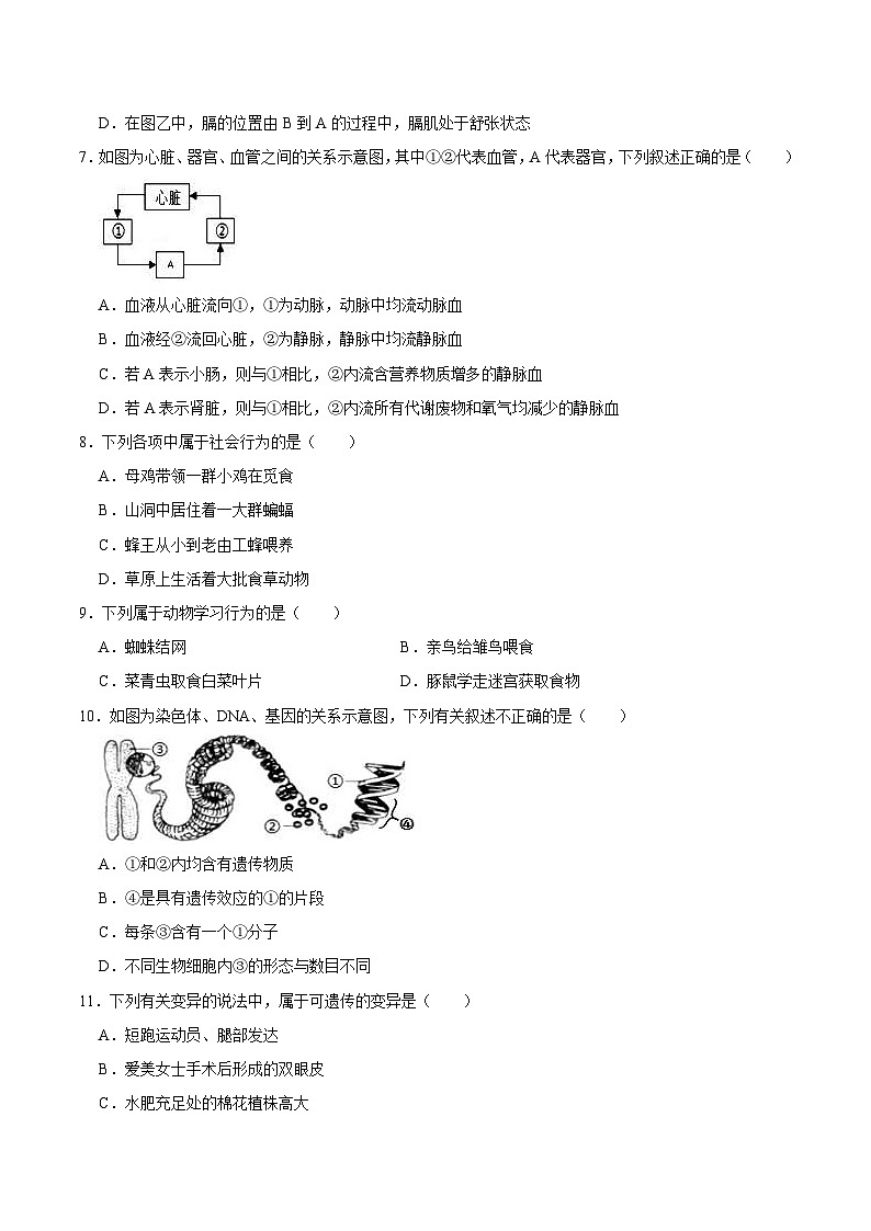中考生物模拟试卷五 (原卷版+解析版)第3页