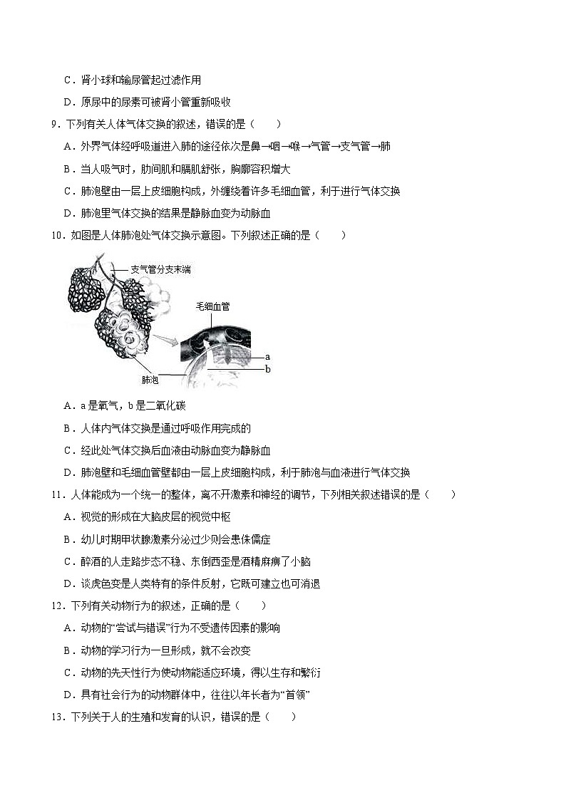 中考生物模拟试卷四 (原卷版+解析版)第3页