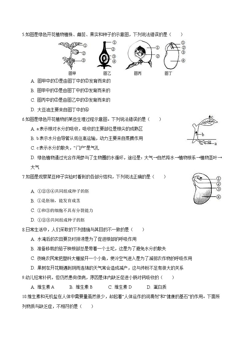 中考生物模拟试卷一 (原卷版+解析版)第2页