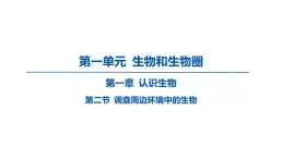 2023-2024学年六年级生物课件鲁教版（五四学制）第二节 调查周边环境中的生物