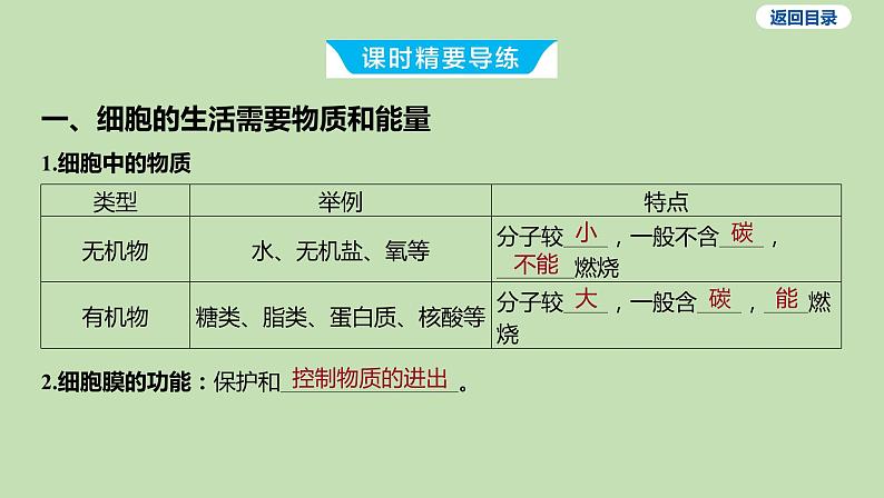 2023-2024学年六年级生物鲁教版(五四学制)课件---第一节 细胞的生活03