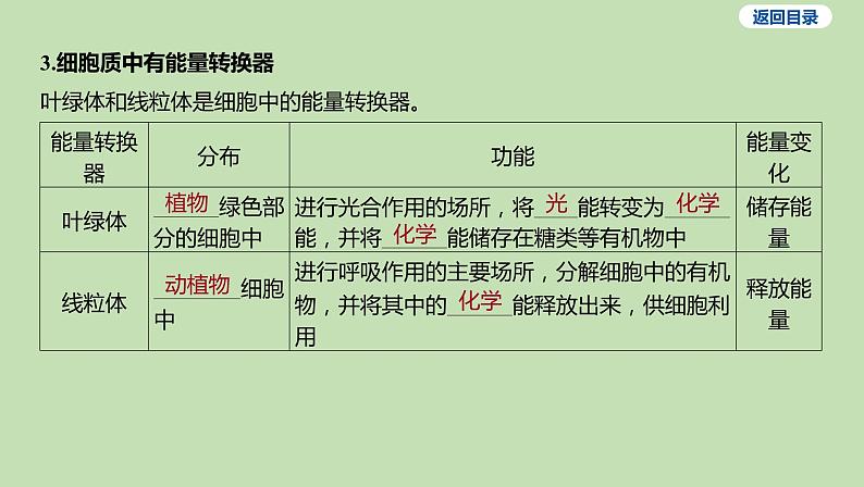 2023-2024学年六年级生物鲁教版(五四学制)课件---第一节 细胞的生活04