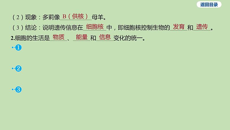 2023-2024学年六年级生物鲁教版(五四学制)课件---第一节 细胞的生活06