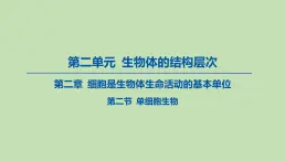 2023-2024学年六年级生物鲁教版（五四学制）课件---第二节 单细胞生物