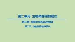 2023-2024学年六年级生物鲁教版（五四学制）课件---第二节 动物体的结构层次