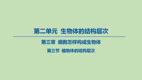 鲁科版 (五四制)六年级上册第三节 植物体的结构层次备课ppt课件