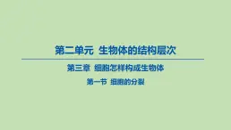 2023-2024学年六年级生物鲁教版（五四学制）课件---第一节 细胞的分裂