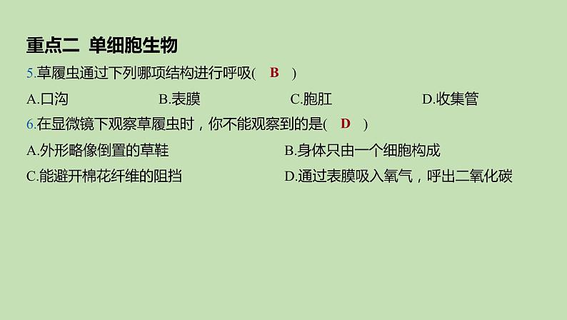 2023-2024学年六年级生物鲁教版(五四学制)课件---第二章 细胞是生物体生命活动的基本单位复习07
