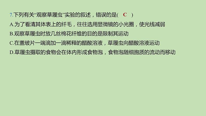 2023-2024学年六年级生物鲁教版(五四学制)课件---第二章 细胞是生物体生命活动的基本单位复习08