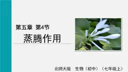 第5章绿色开花植物的生活方式第4节蒸腾作用课件