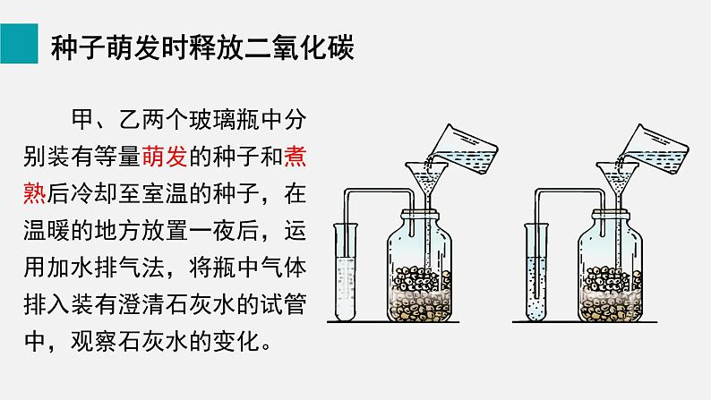 第5章绿色开花植物的生活方式第2节呼吸作用课件第5页