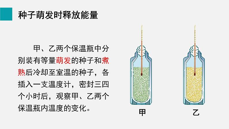 第5章绿色开花植物的生活方式第2节呼吸作用课件第8页